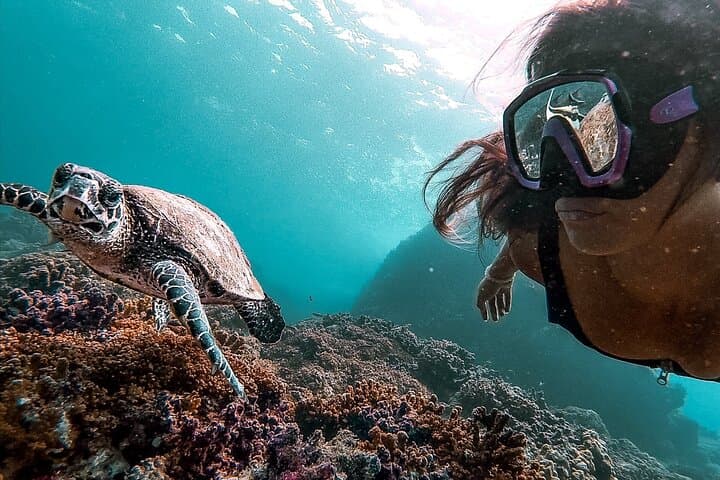 Caño Island Snorkeling: All-Inclusive Small-Group Tour from Drake Bay