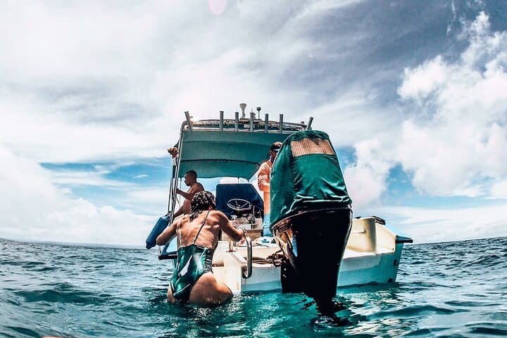 Caño Island Snorkeling: All-Inclusive Small-Group Tour from Drake Bay photo 2