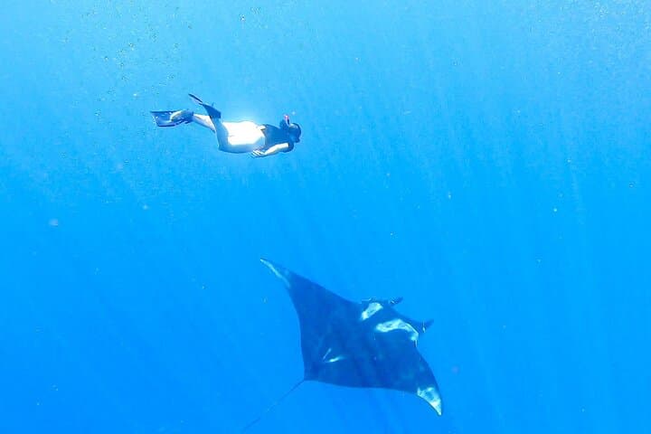 Caño Island Snorkeling: All-Inclusive Small-Group Tour from Drake Bay photo 3