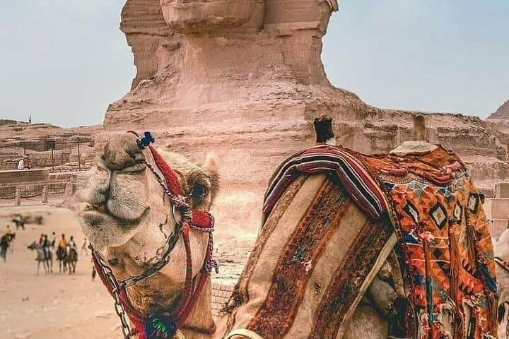 Sunset Camel Ride at the Giza Pyramids with BBQ Dinner photo 2