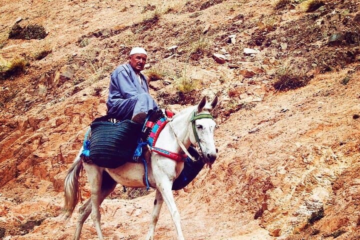 Imlil Valley Day Hike and Mount Toubkal Views from Marrakech photo 2