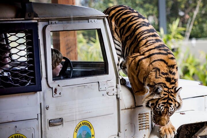 Taronga Zoo Sydney: Harbour-Edge Wildlife Encounters and Practical Visitor Guide photo 6