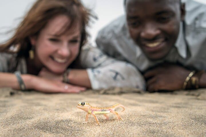 Sandwich Harbour Half-Day 4x4 Tour from Walvis Bay with Lunch photo 4