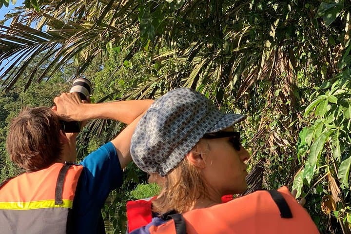 Paddle the Canals of Tortuguero: Guided Canoe Wildlife Tour