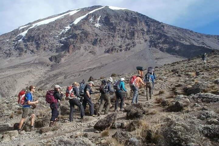 2-Day Short Kilimanjaro Trek: Mandara Hut & Moorland Views on the Marangu Route