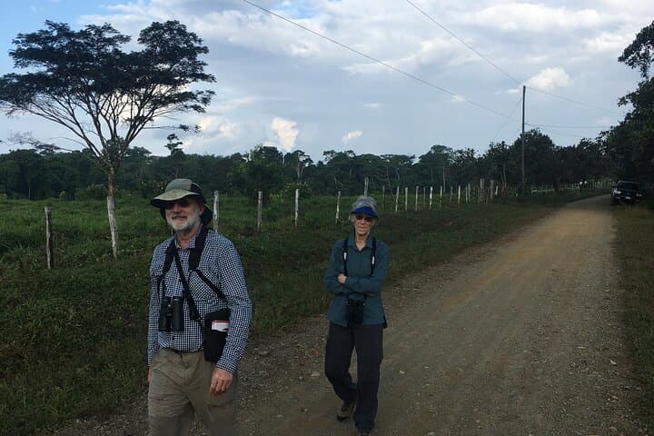 Corcovado Los Planes Birding Tour — Guided Birdwatching from Drake Bay photo 2