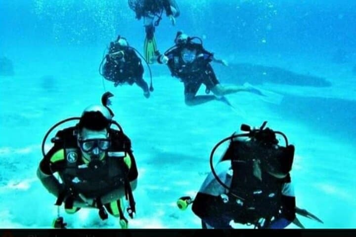Hurghada One-Day Boat Diving Trip — Two Shallow Dives on Red Sea Reefs