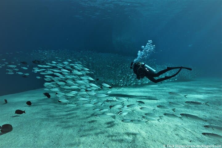 Three-Tank Combo: Cabo Reserve & Corridor Dives — Certified Divers
