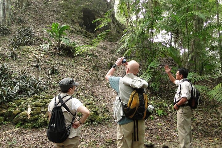 Tikal Exclusive Full-Day Private Tour from Flores — Private Guide & Transport photo 4