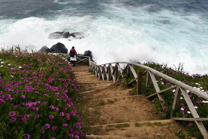 Ribeira Funda to Praia da Viola: North São Miguel Coastal Walking Tour