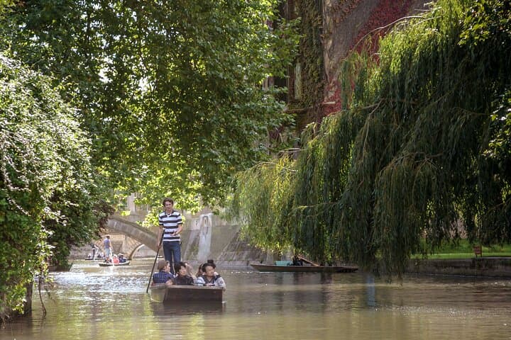 Punting the Backs: Guided Shared River Cam Tour in Cambridge
