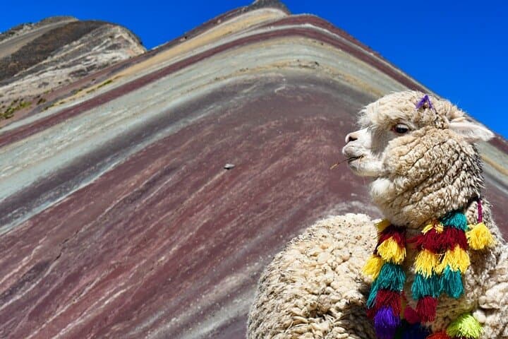 Vinicunca (Rainbow Mountain): Full-Day Guided Hike from Cusco photo 4