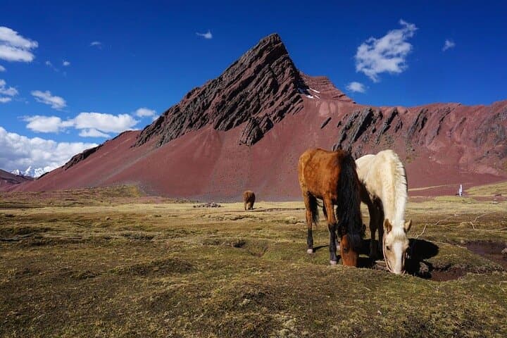 Vinicunca (Rainbow Mountain): Full-Day Guided Hike from Cusco photo 6