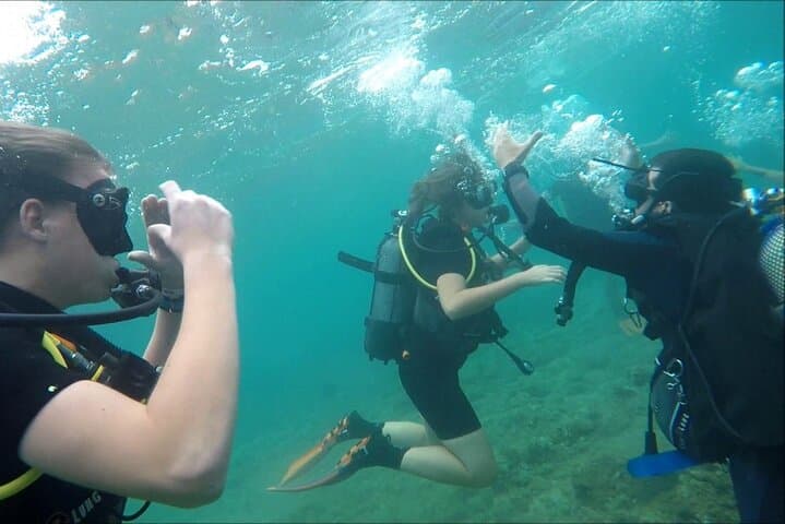 Beginner Scuba Diving in Cambrils — Costa Dorada Intro Dive with Hotel Pickup