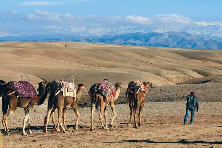 Moonlit Bivouac: 2-Day Agafay Desert Camp from Marrakech photo 5