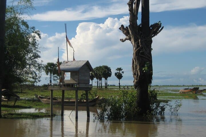 Bird Watching at Tonle Sap’s Inundated Forest: Full-Day Prek Toal Sanctuary Tour photo 4