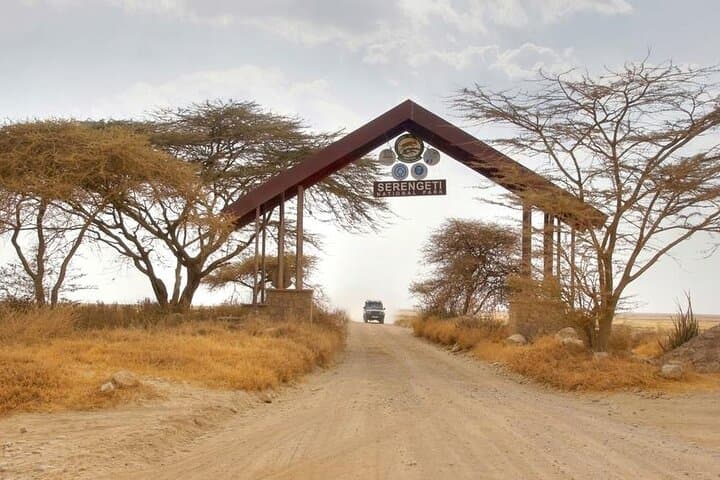5-Day Great Wildebeest Migration Safari in Tanzania photo 2