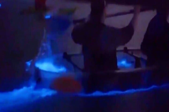 Cocoa Beach Clear Kayak Bioluminescence Night Tour: Paddle Through Living Light photo 3
