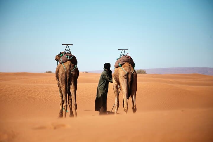 3-Day Sahara Odyssey: Fes to Marrakech via Merzouga photo 1