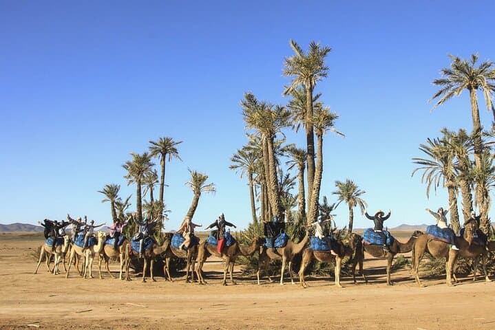 Sunset Camel Ride in Marrakech Palm Grove photo 4