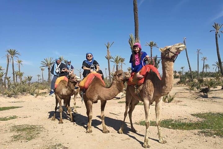 Sunset Camel Ride in Marrakech Palm Grove photo 5