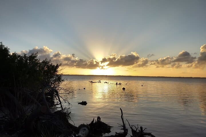 Sunset Kayaking at Manatee Cove (Cocoa Beach): Dolphins & Manatee Sightings photo 4