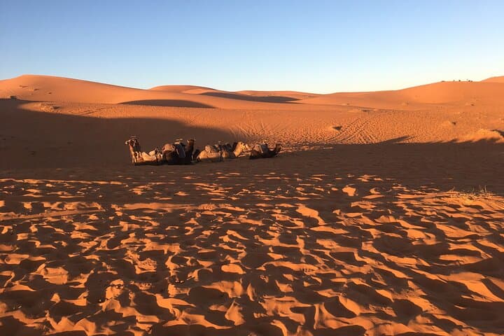 3-Day Sahara Odyssey: Fes to Marrakech via Merzouga photo 3