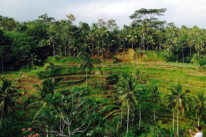 Kintamani Volcano & Tegalalang Rice Terraces Day Tour from Ubud photo 6