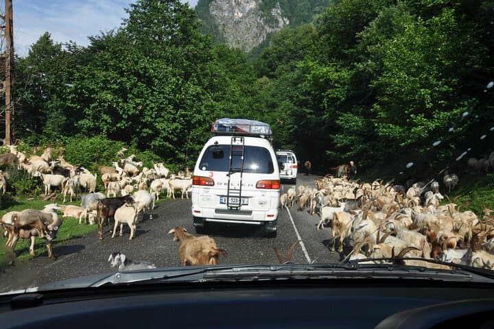 Three Days in Svaneti: Hiking Mestia to Ushguli and the Glaciers photo 5