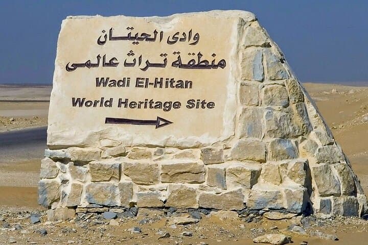 Full-Day Desert Adventure from Cairo to Wadi Hitan (Valley of the Whales) & Wadi Rayan photo 2