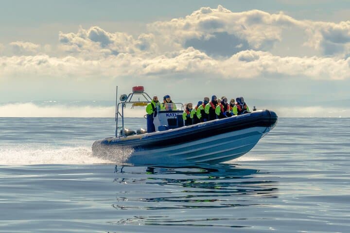 Puffin Speedboat Express: Fast RIB Puffin Tours from Reykjavík