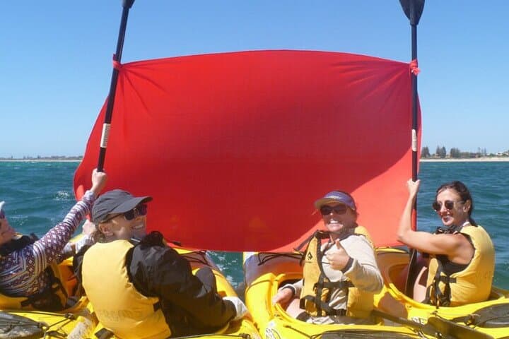 Kayak the Canning River: Half-Day Guided Paddle at Kent Street Weir photo 5