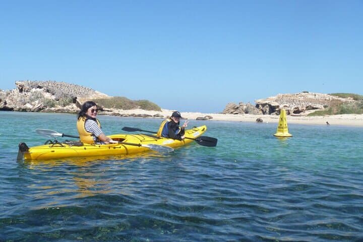 Kayak the Canning River: Half-Day Guided Paddle at Kent Street Weir photo 6