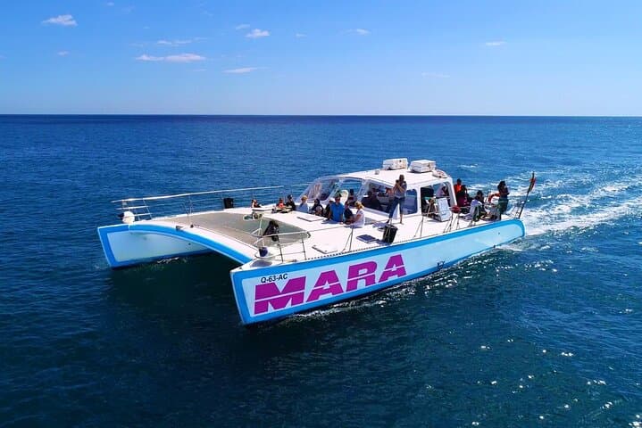 Benagil Catamaran Cruise: Caves, Coastline & Swim from Albufeira photo 6