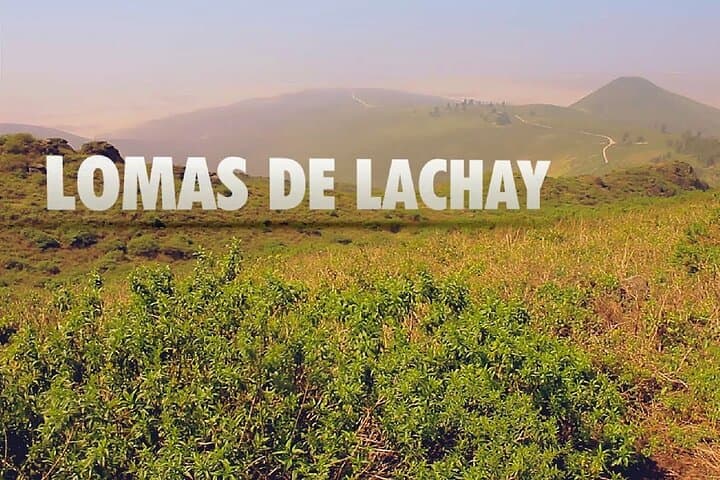 Hiking Lomas de Lachay: Fog-Oasis Day Hike from Lima
