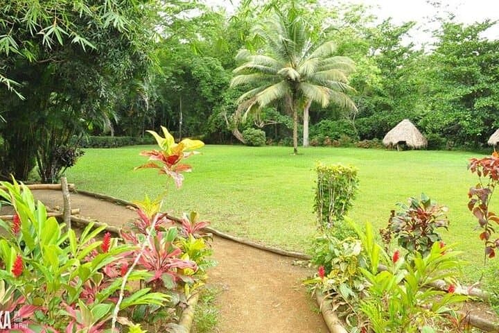 Mayfield Falls & Benta Falls Private Tour from Montego Bay — Natural Pools and Waterfall Swim photo 2