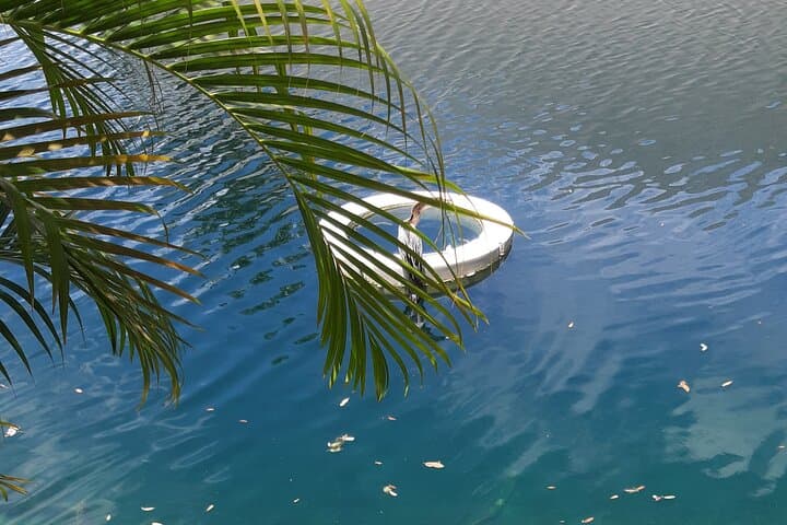 Private Magic City Tour: Art Deco, Coconut Grove & Local Secrets photo 2
