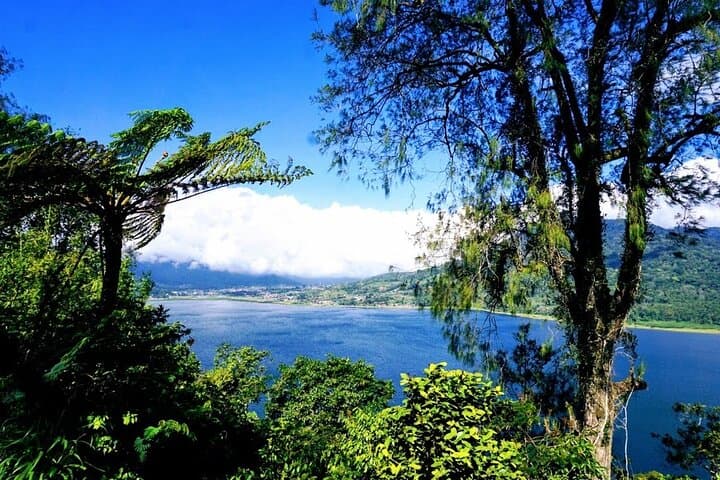 Bedugul Day Tour: Ulun Danu, Wanagiri & Alas Kedaton Monkey Forest photo 3