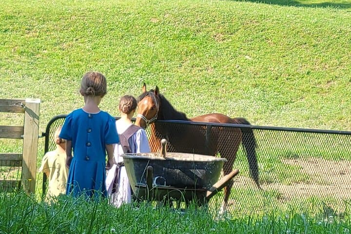 Authentic Lancaster & Amish Country Walking and Van Tour