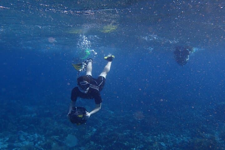 Sea Scooter Snorkel at Mangel Halto Beach, Aruba — Solar-Powered Reef Tours photo 4