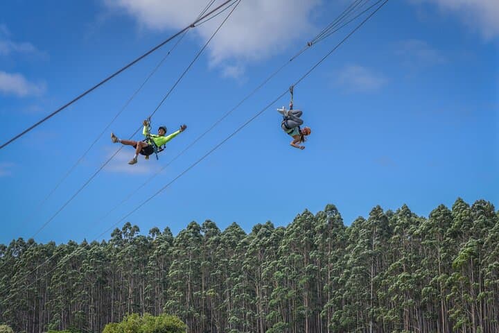 Soaring Over Hawai‘i’s Umauma Falls: The Ultimate 4-Line Zipline Adventure photo 3