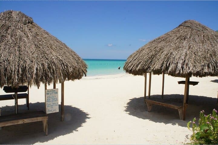 Negril Beach and Rick's Cafe: Sunset Cliffs, Seven Mile Sand, and Cliff-Jumping Thrills photo 4
