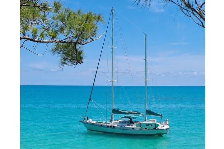 Private Catamaran Charter in Bermuda — Swim, Snorkel & SUP from Hamilton photo 5