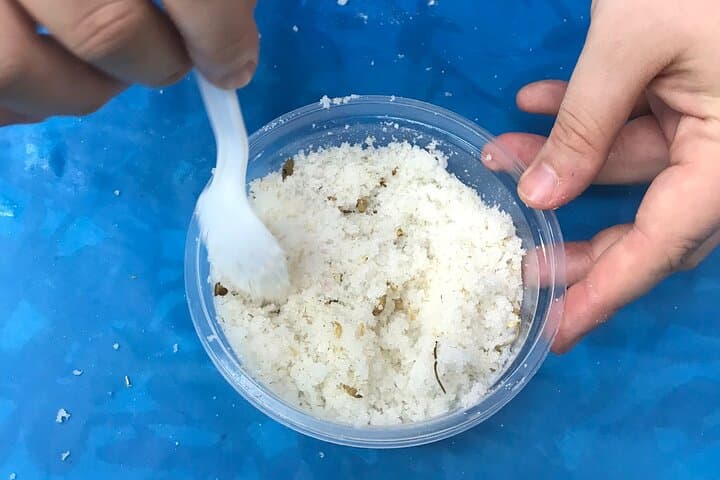 Make Your Own Sugar or Salt Scrub — Montclair DIY Skincare Workshop