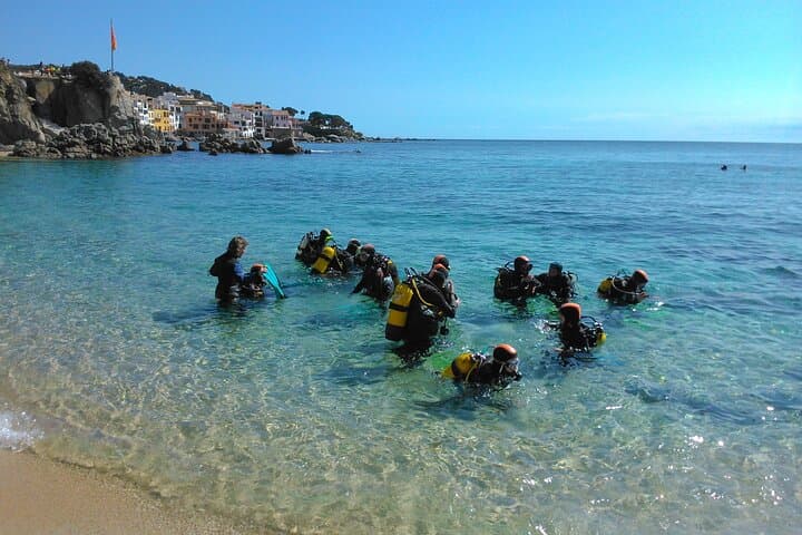 Small-Group Scuba Diving Adventure in Costa Brava — Try Dive near Girona photo 2