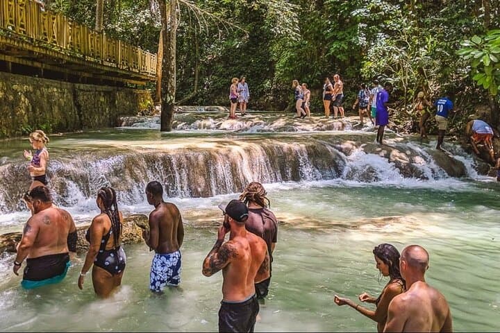 Private Ocho Rios Tour: Dunn's River Falls Climb & Scotchies Lunch photo 3