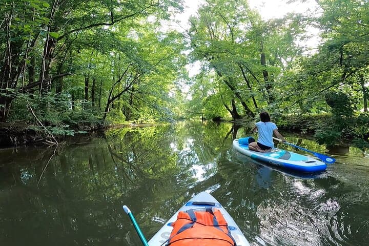 Paddleboarding Nové Mlýny to Lednice: Thaya River SUP Trip in South Moravia photo 3