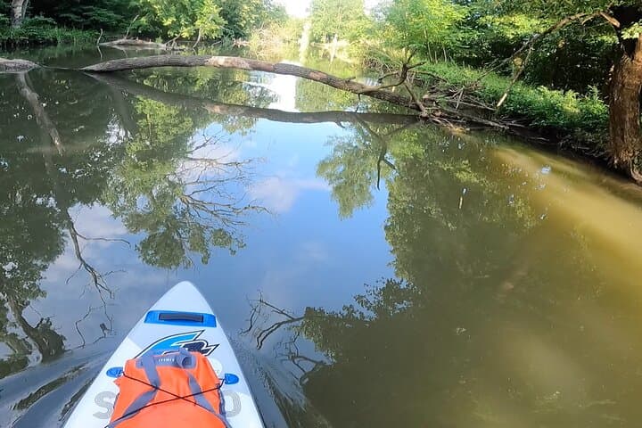 Paddleboarding Nové Mlýny to Lednice: Thaya River SUP Trip in South Moravia photo 5