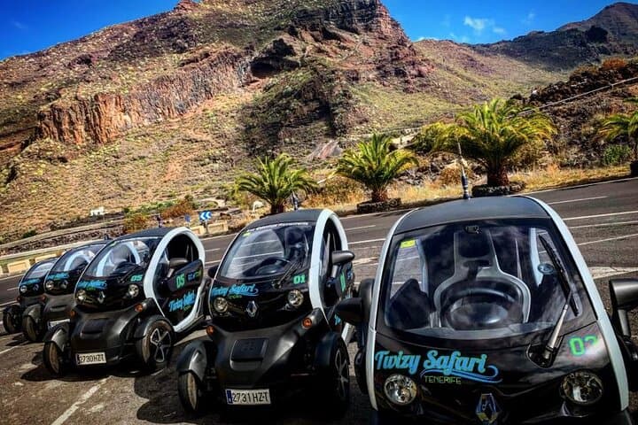 Twizy Eco Safari Tenerife: 4-Hour Electric Mountain Drive and Local Tastes
