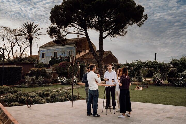 Etna Urban Winery Sunset Vineyard Walk & Tasting Dinner